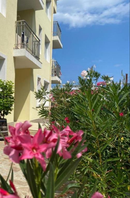 Byala Friendy Sea Apartaments Exteriér fotografie